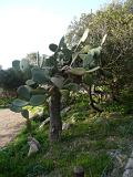 sizilien-mallorca 251